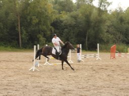 img_9643_web
